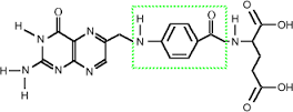 Folic acid molecule (PABA circled)