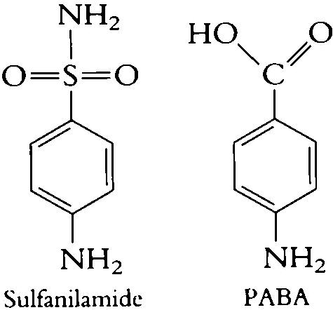 Sulfanilamide vs PABA