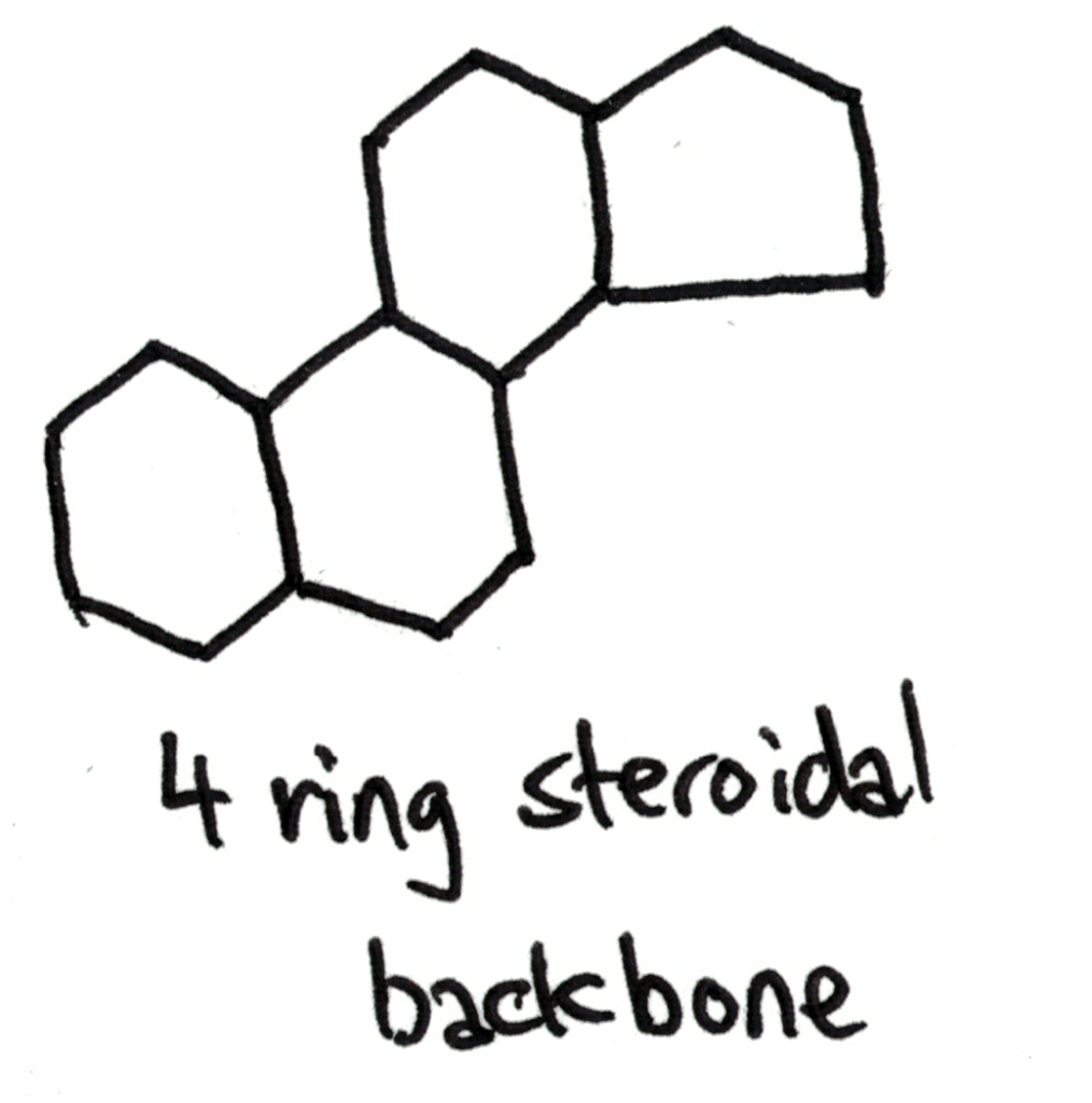 4 ring steroidal backbone