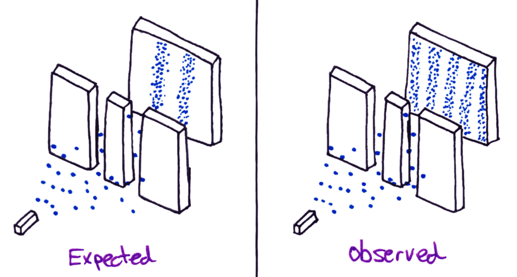 expected vs observed