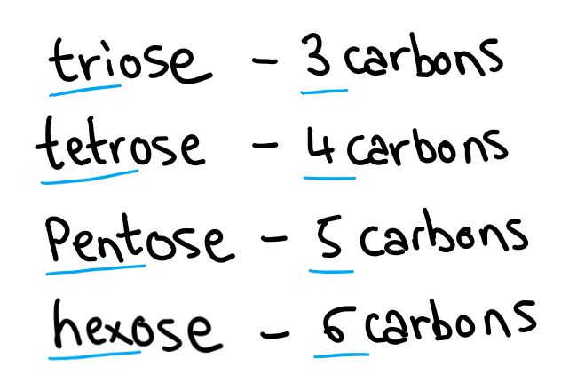Sugar carbon naming