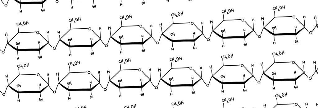 polysaccharide (starch)
