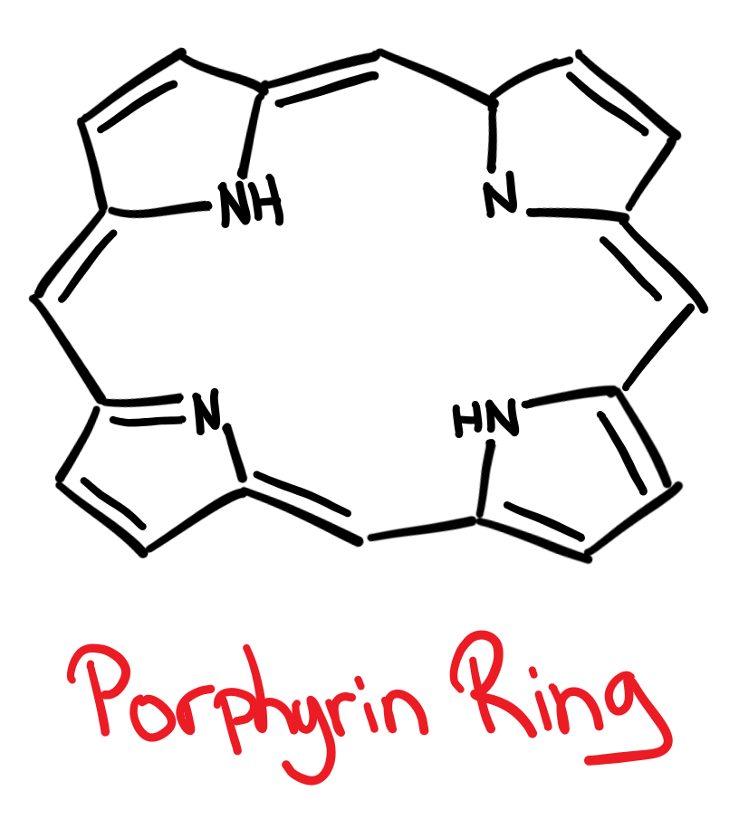 Magnesium porphyrins with relevance to chlorophylls. | Semantic Scholar